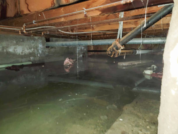 Best Emergency water damage restoration  in Barstow, CA