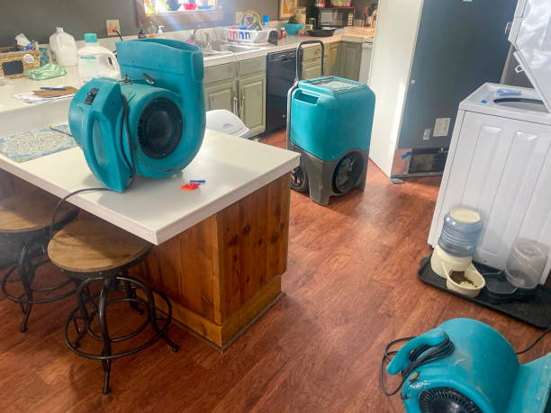 Best Water damage mitigation services  in Barstow, CA
