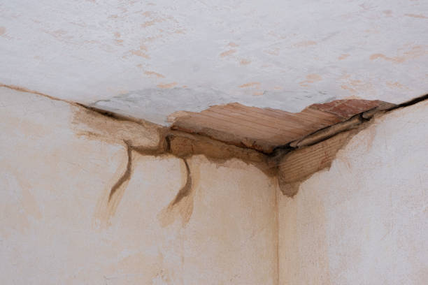 Best Water damage restoration near me  in Barstow, CA